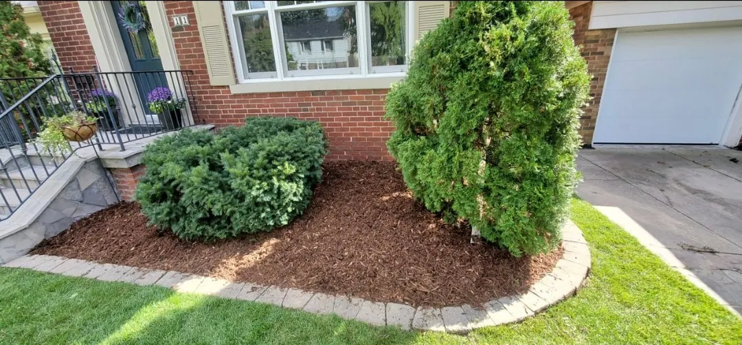 Front yard garden with fresh mulch beds, shrubs and clean edging