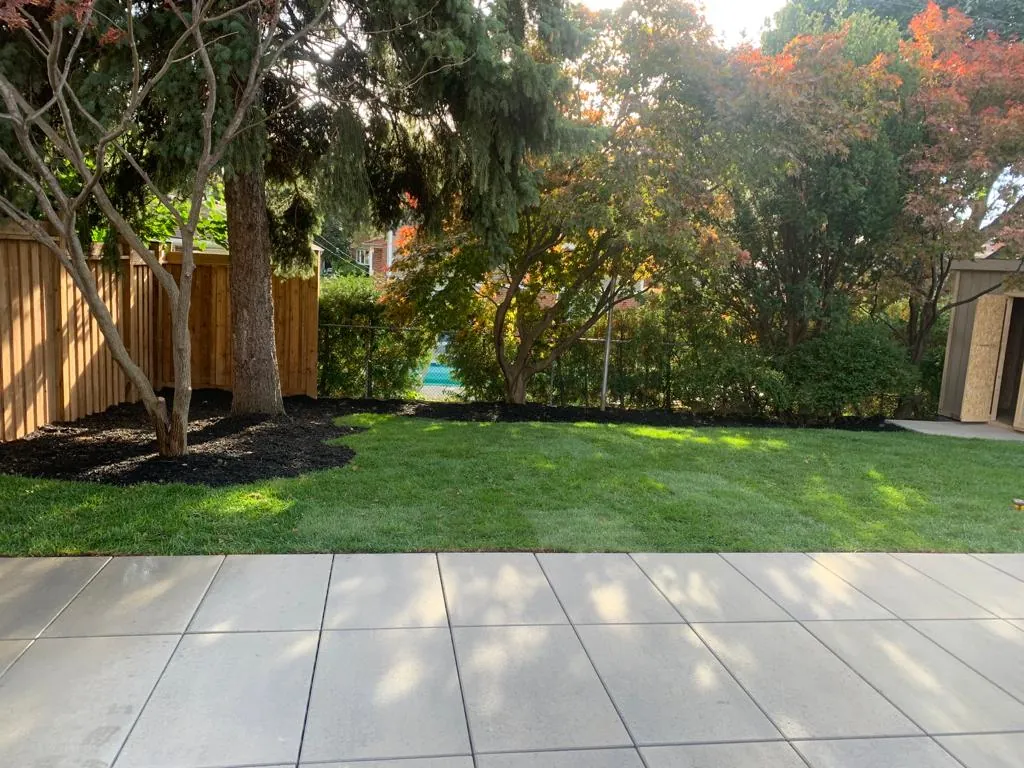 Sod installation alongside a new patio stone walkway